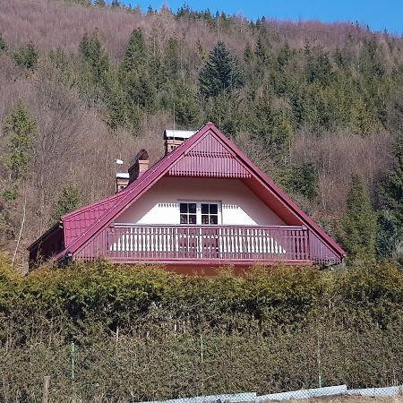 Domek Nad Rzeczka Villa Zabnica Exterior foto
